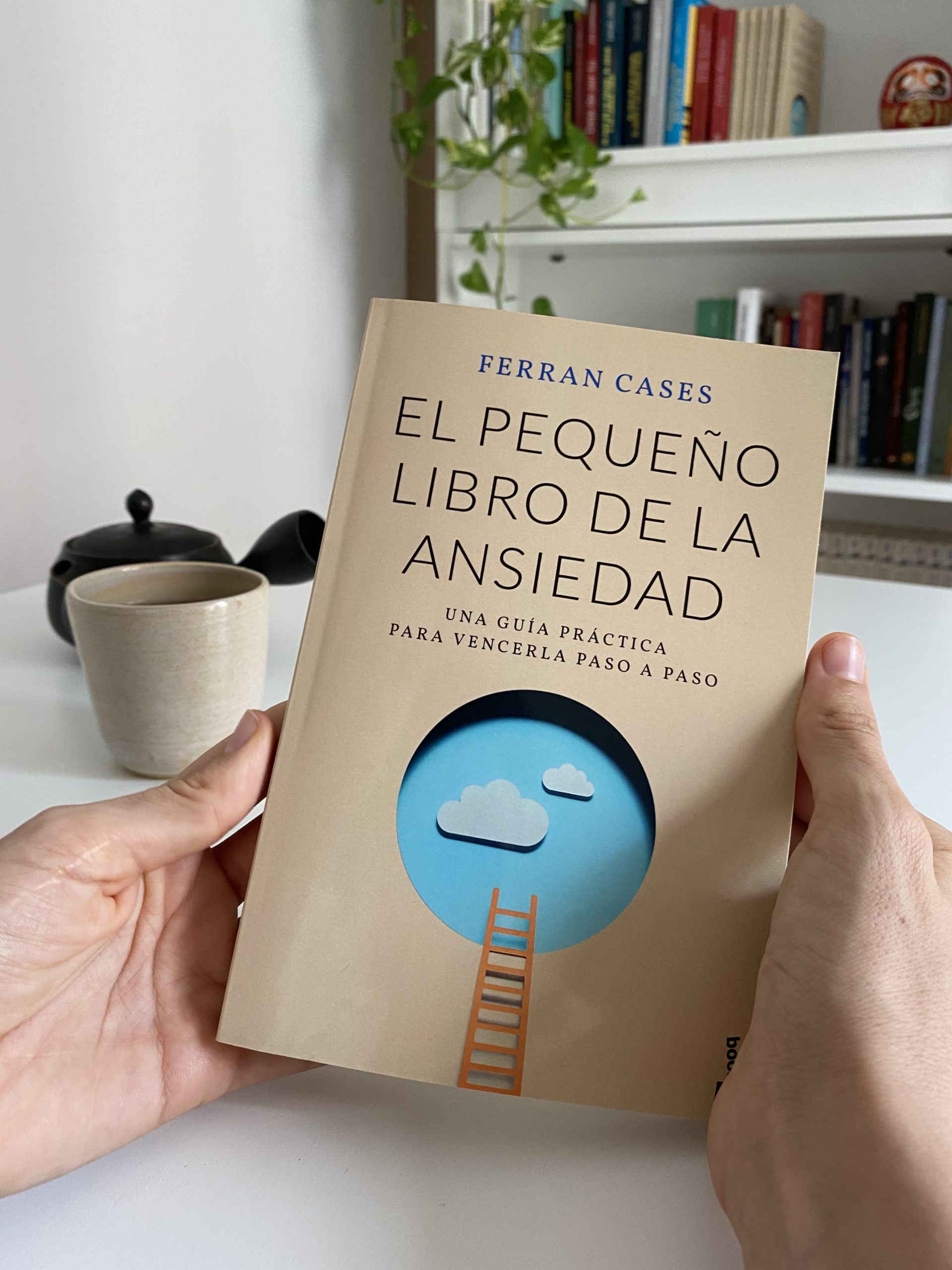 El pequeño libro de la ansiedad - Bye bye ansiedad